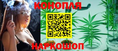 стафф Бийск