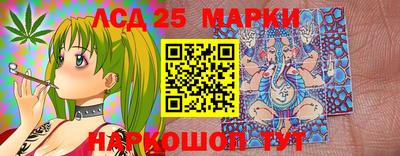 стафф Бийск