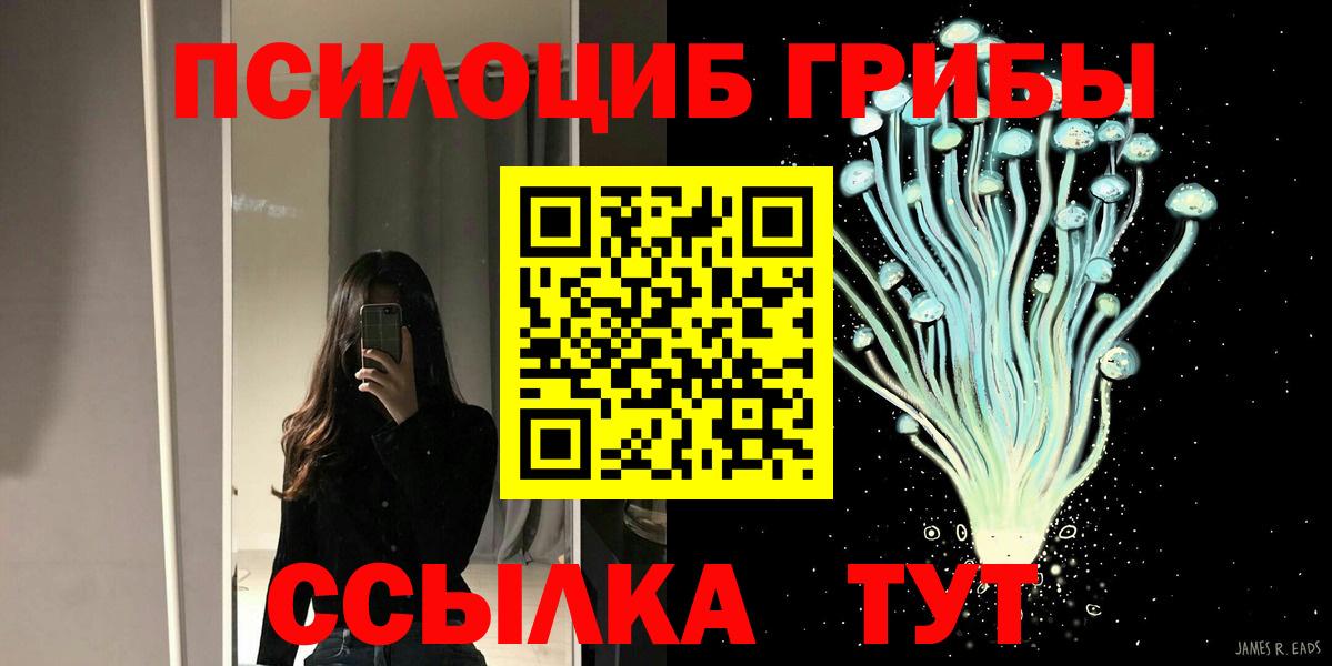 цена наркотик  Псилоцибиновые грибы Cubensis  Вход с VPN  Кизляр 